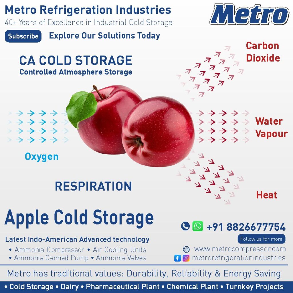 A modern cold storage facility designed for preserving apples with advanced refrigeration technology.