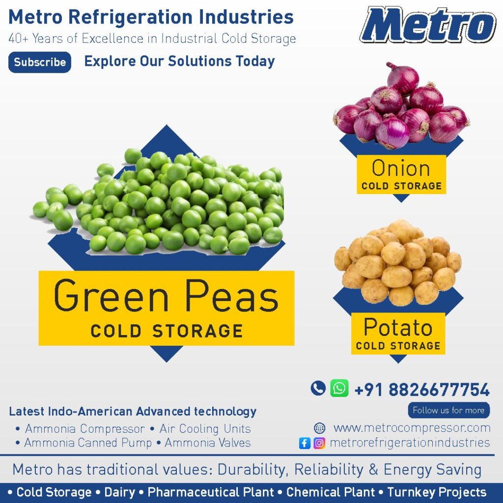 Efficient cold storage system for green peas and frozen vegetables, preserving freshness and quality.