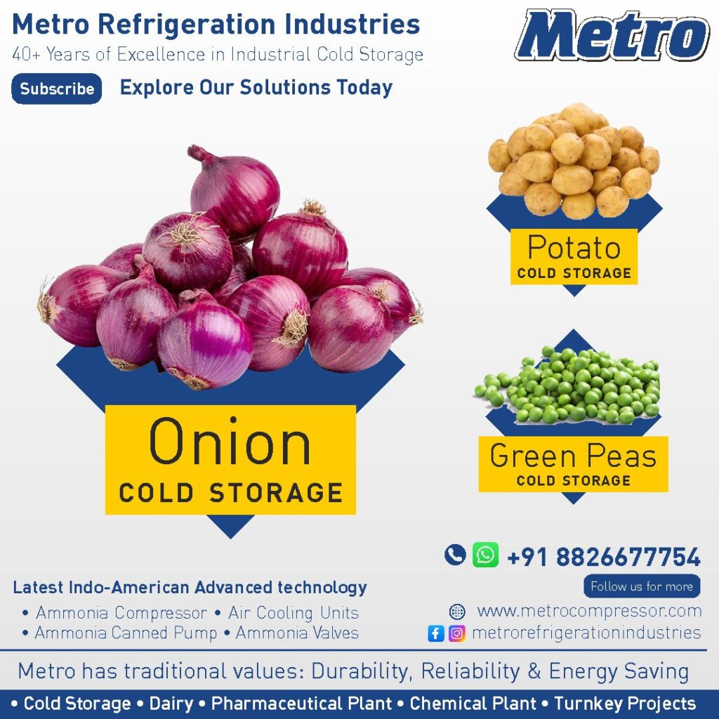 High-capacity onion cold storage system with advanced refrigeration technology.