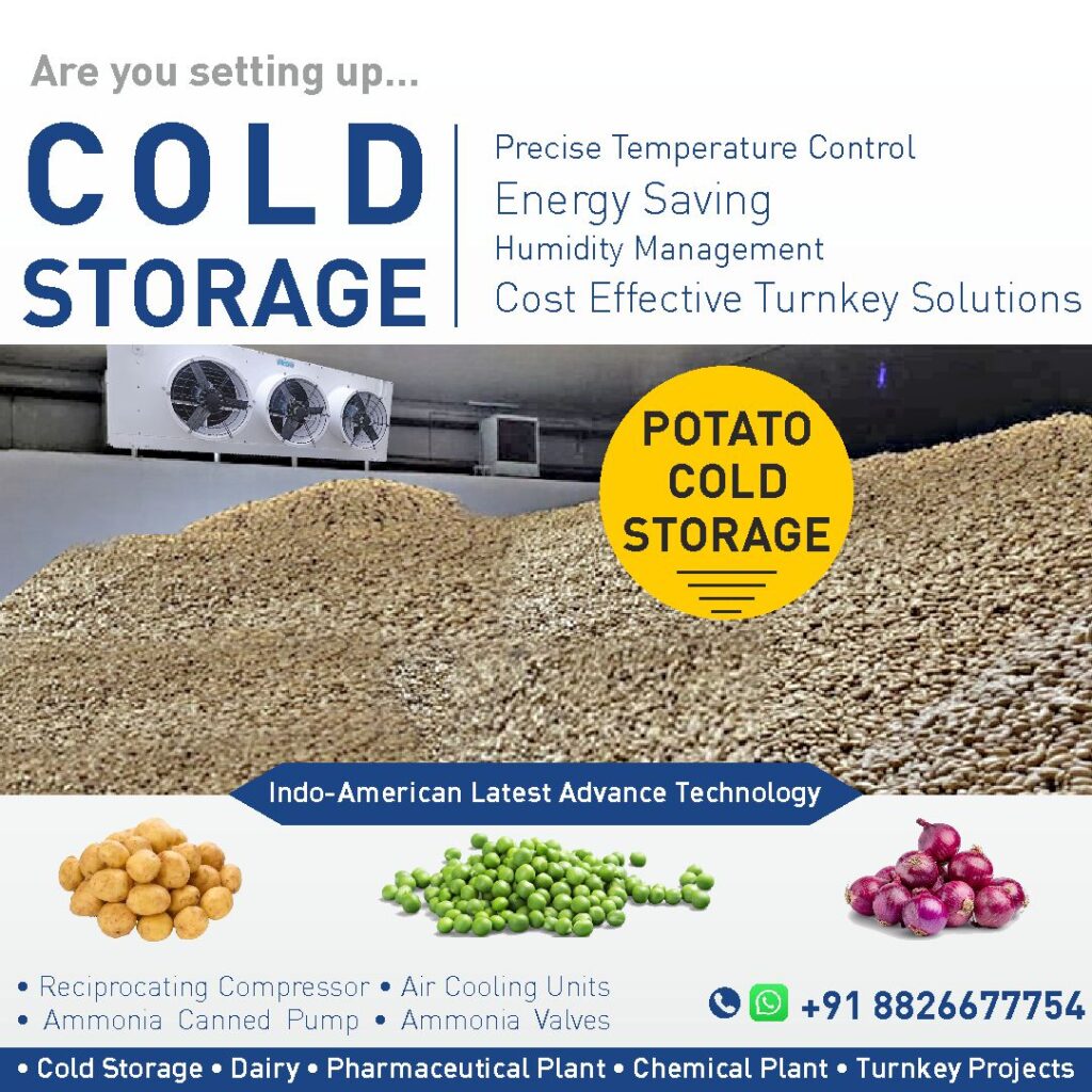 Cost effective potato cold storage project solutions tailored for profitable ventures.